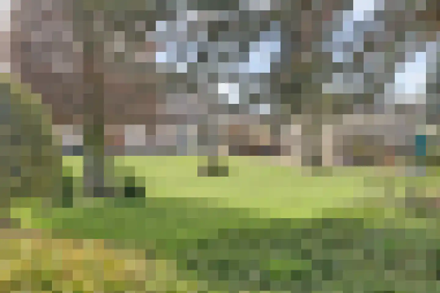 Kapelstraat 6 A Lomm thumbnail 64