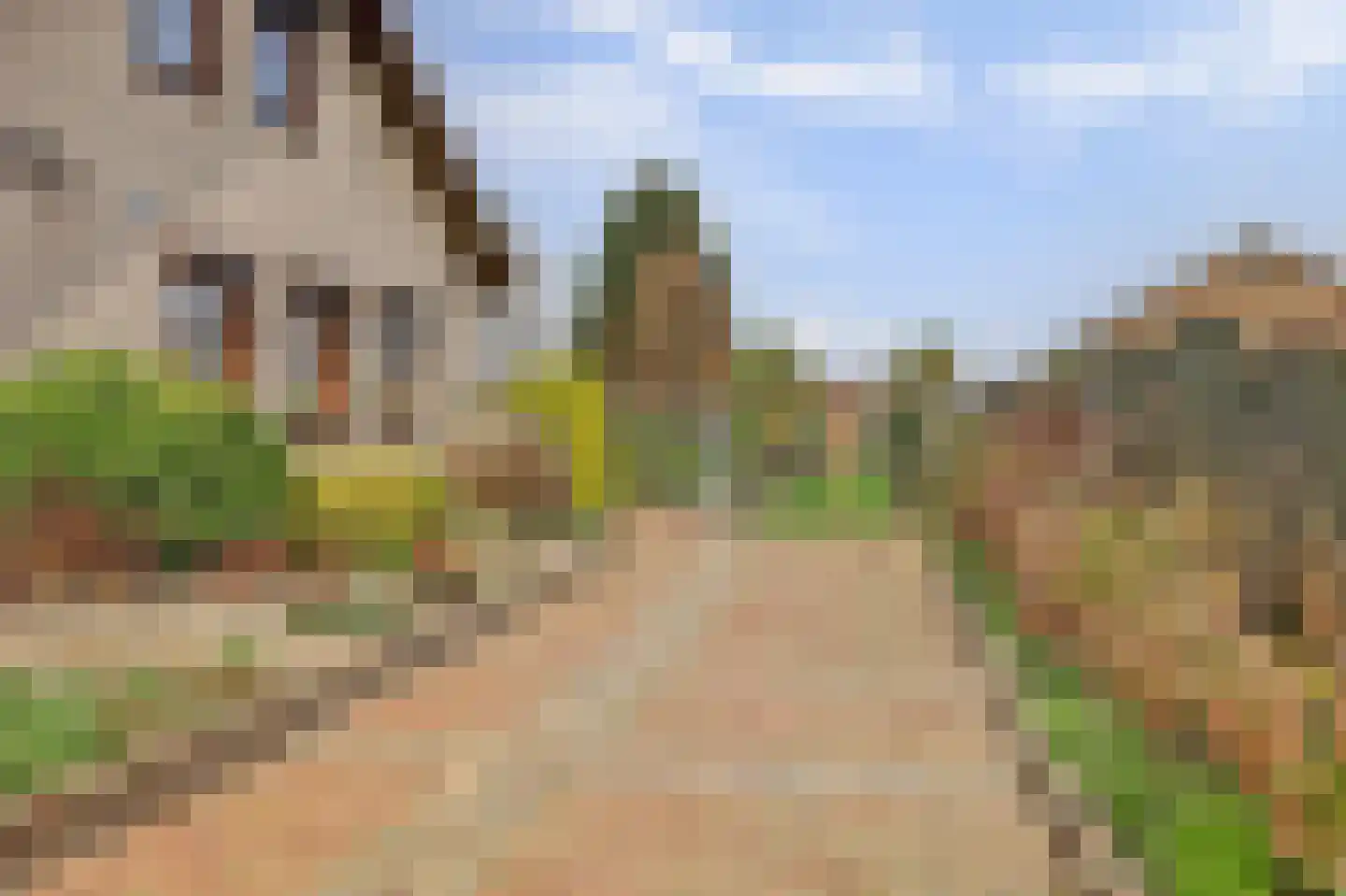 Kapelstraat 6 A Lomm thumbnail 73
