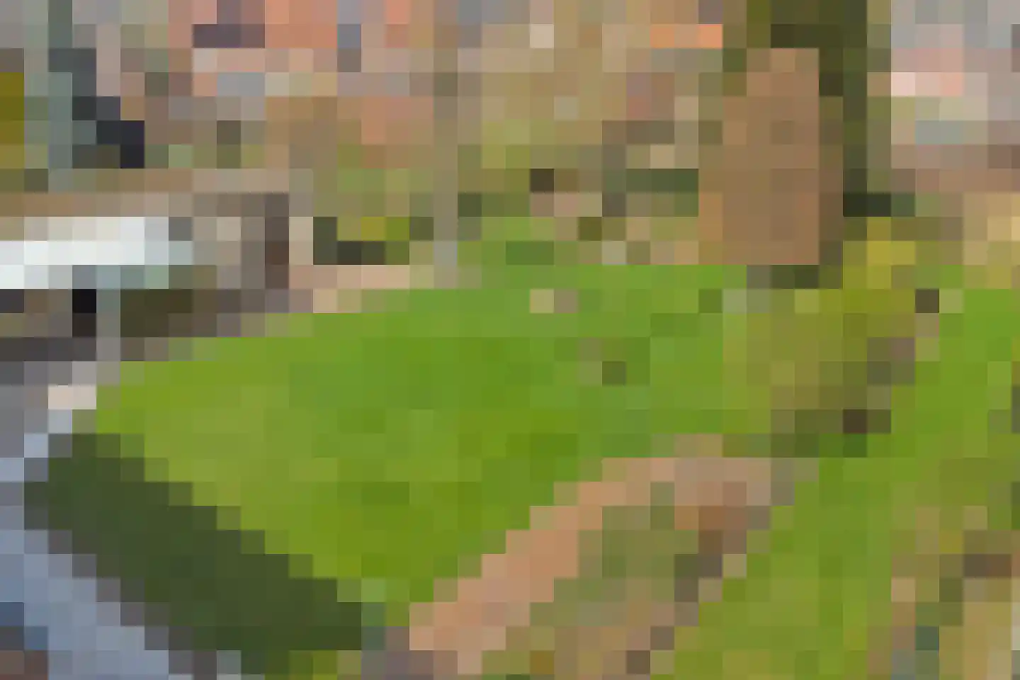 Kapelstraat 6 A Lomm thumbnail 83