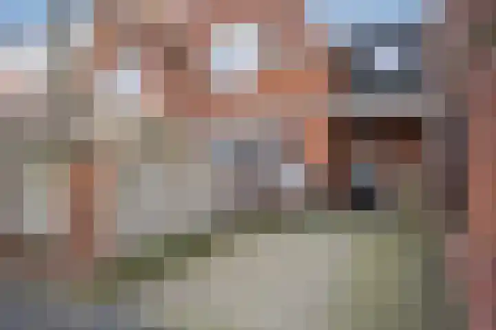 Kapelstraat 6 A Ootmarsum thumbnail 29