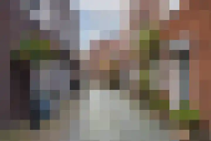Kapelstraat 6 A Ootmarsum thumbnail 32