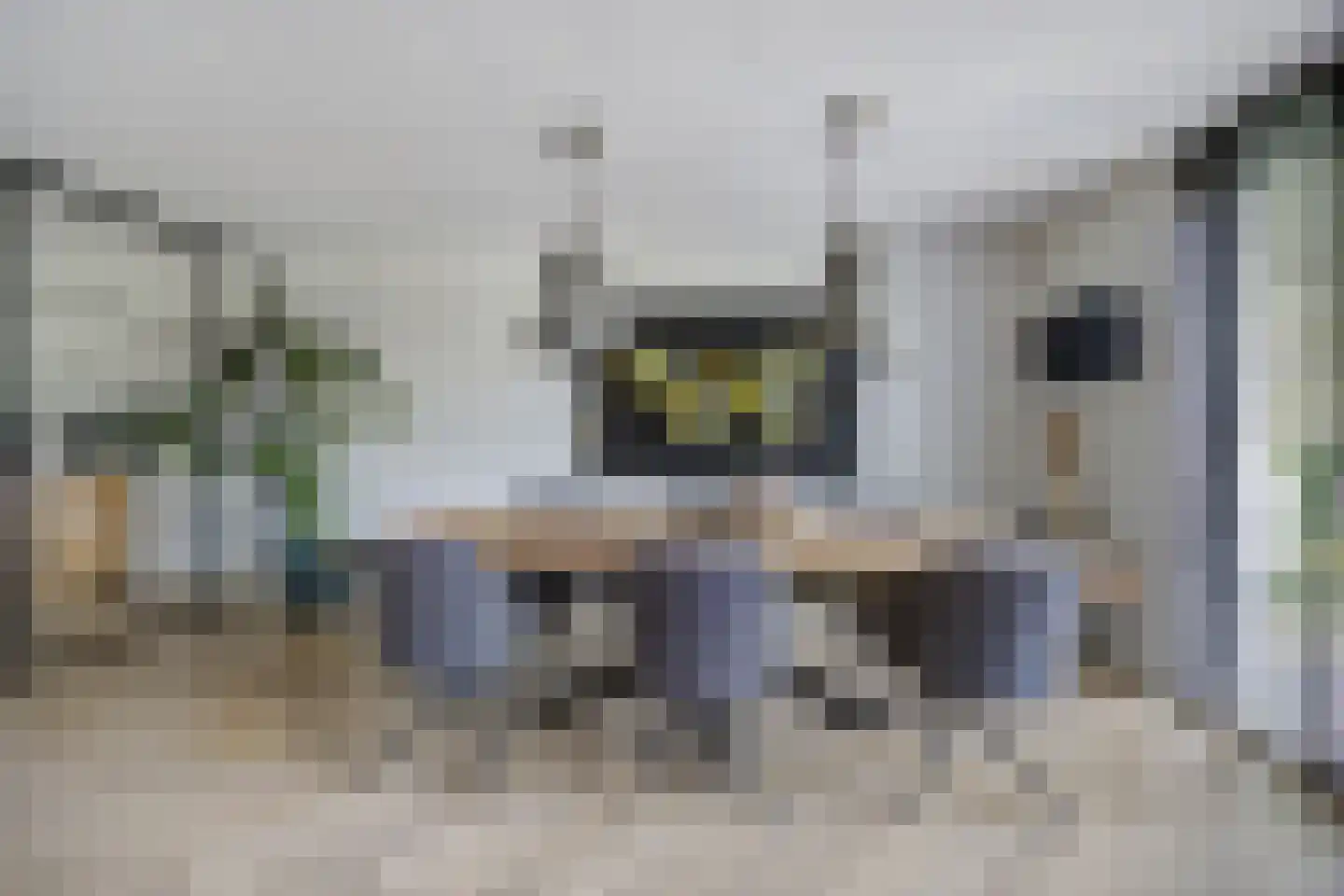 Kapelstraat 6 Etten-Leur thumbnail 15