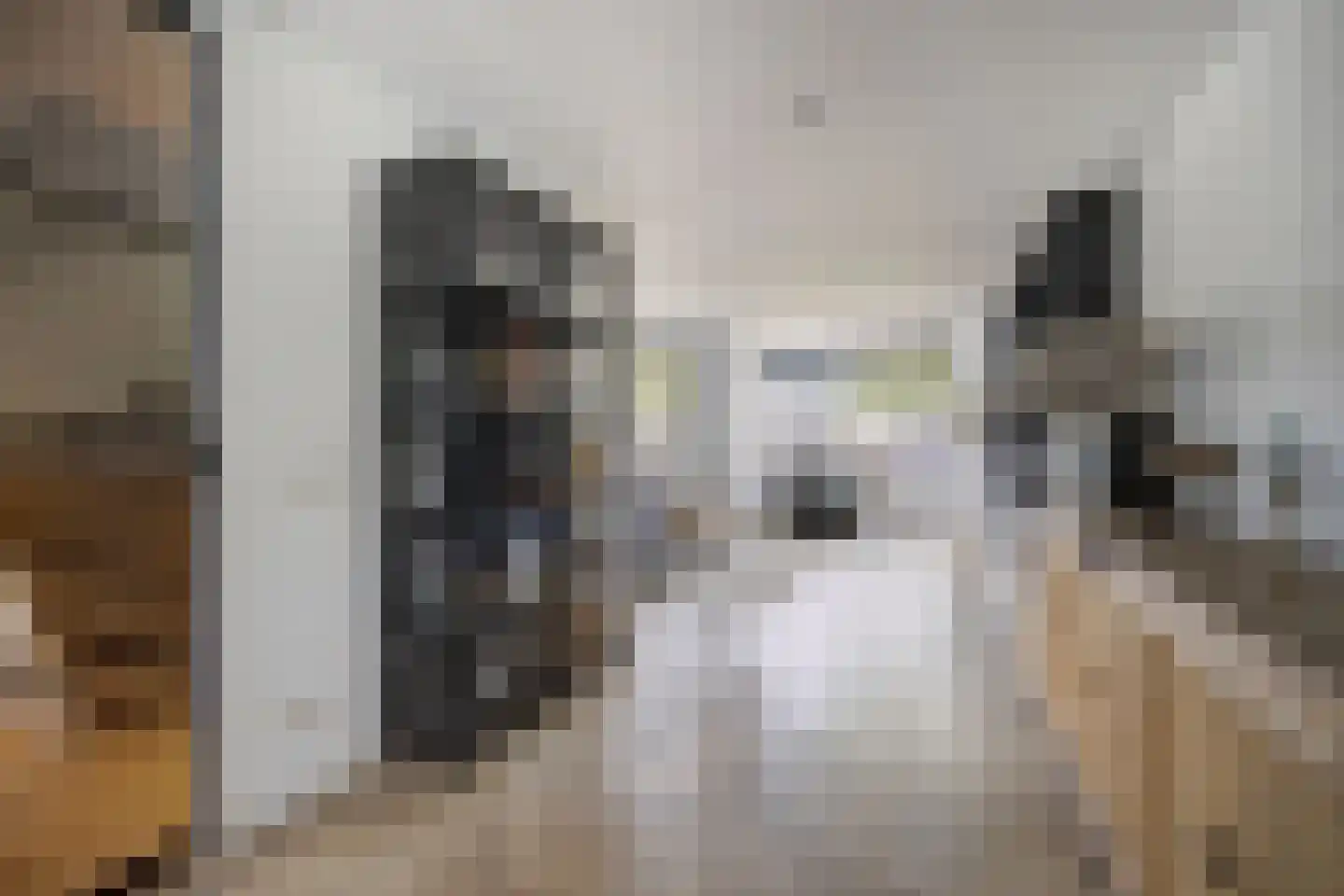 Kapelstraat 6 Etten-Leur thumbnail 8