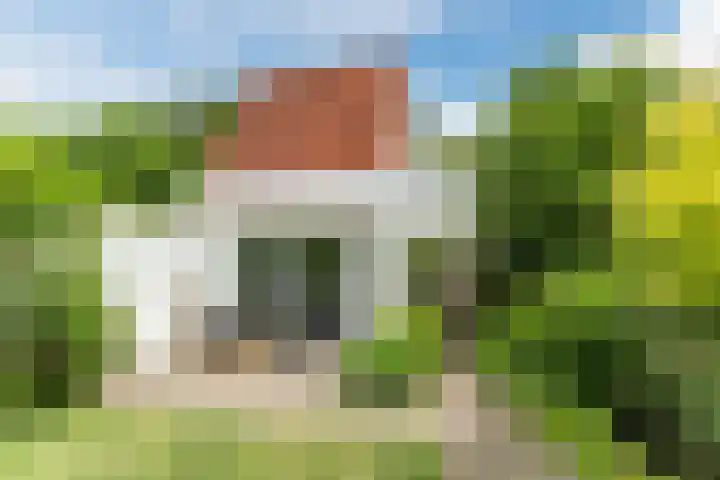 Kapelstraat 6 Heeze thumbnail 32