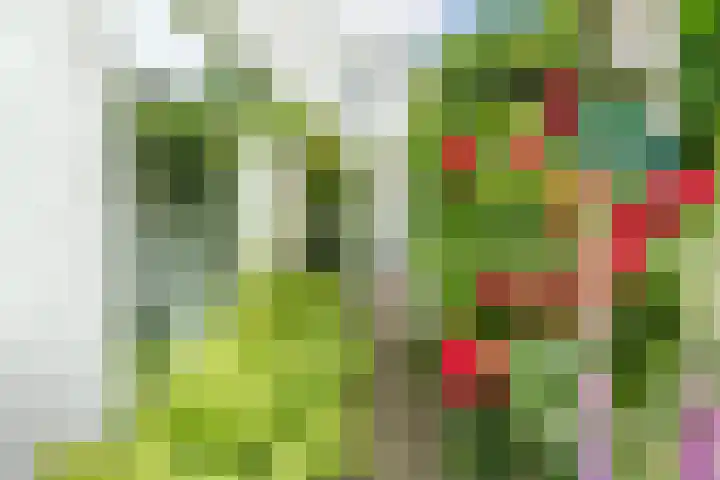 Kapelstraat 6 Heeze thumbnail 33