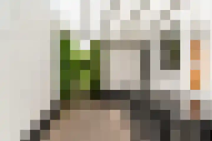 Kapelstraat 6 Heeze thumbnail 35