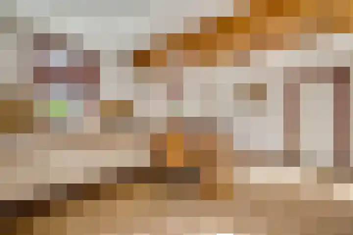 Kapelstraat 6 Stramproy thumbnail 15