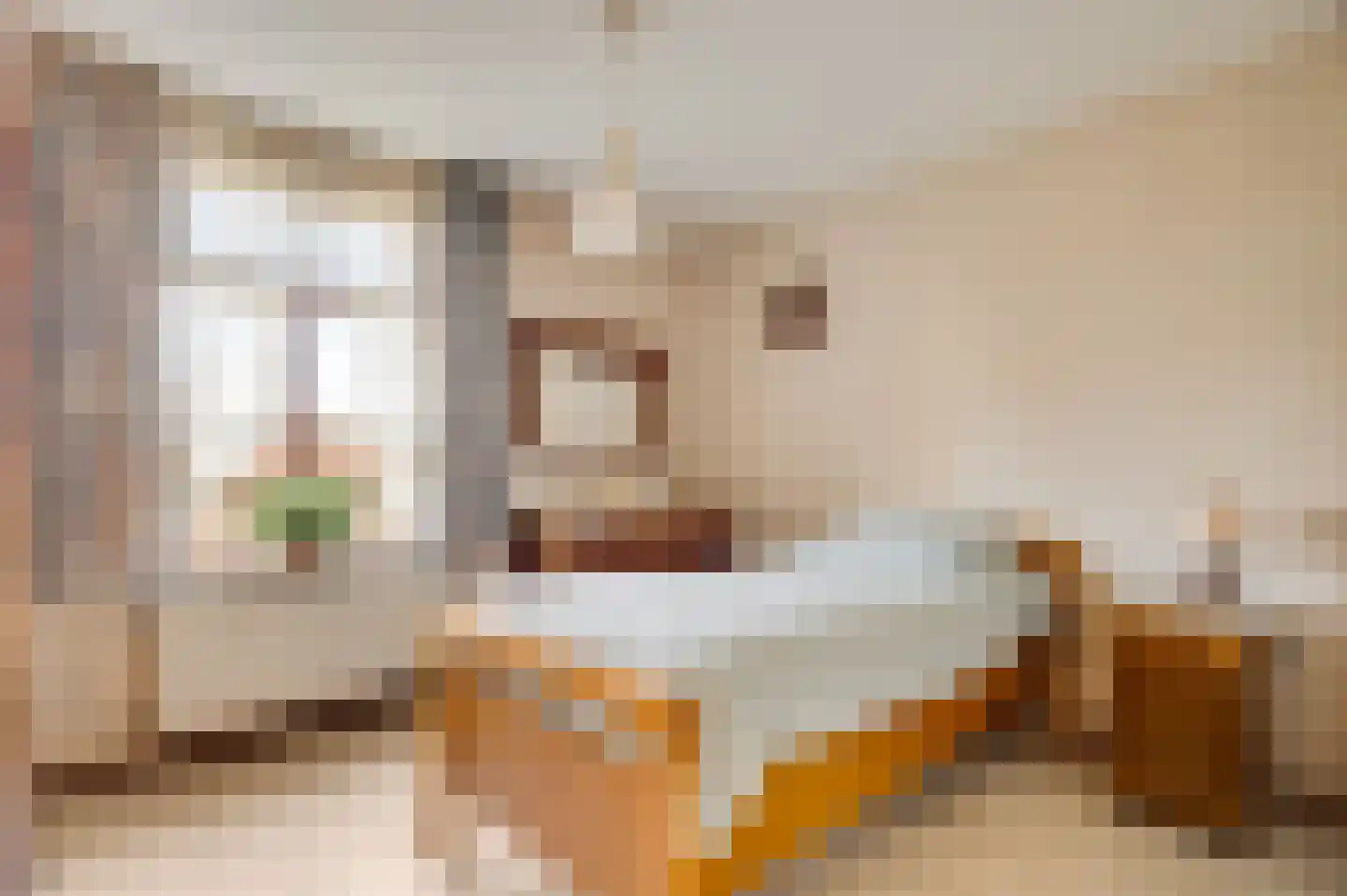 Kapelstraat 6 Stramproy thumbnail 16