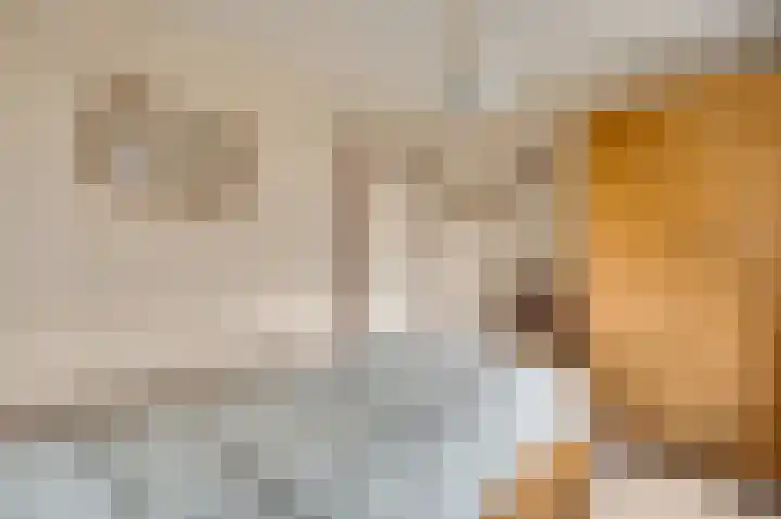 Kapelstraat 6 Stramproy thumbnail 17