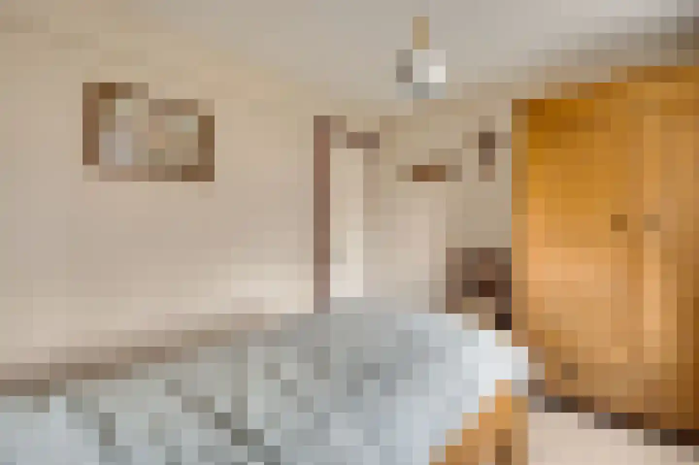 Kapelstraat 6 Stramproy thumbnail 17