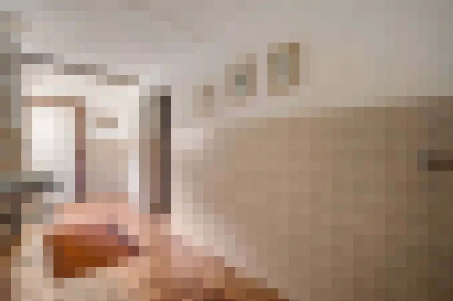 Kapelstraat 6 Stramproy thumbnail 18