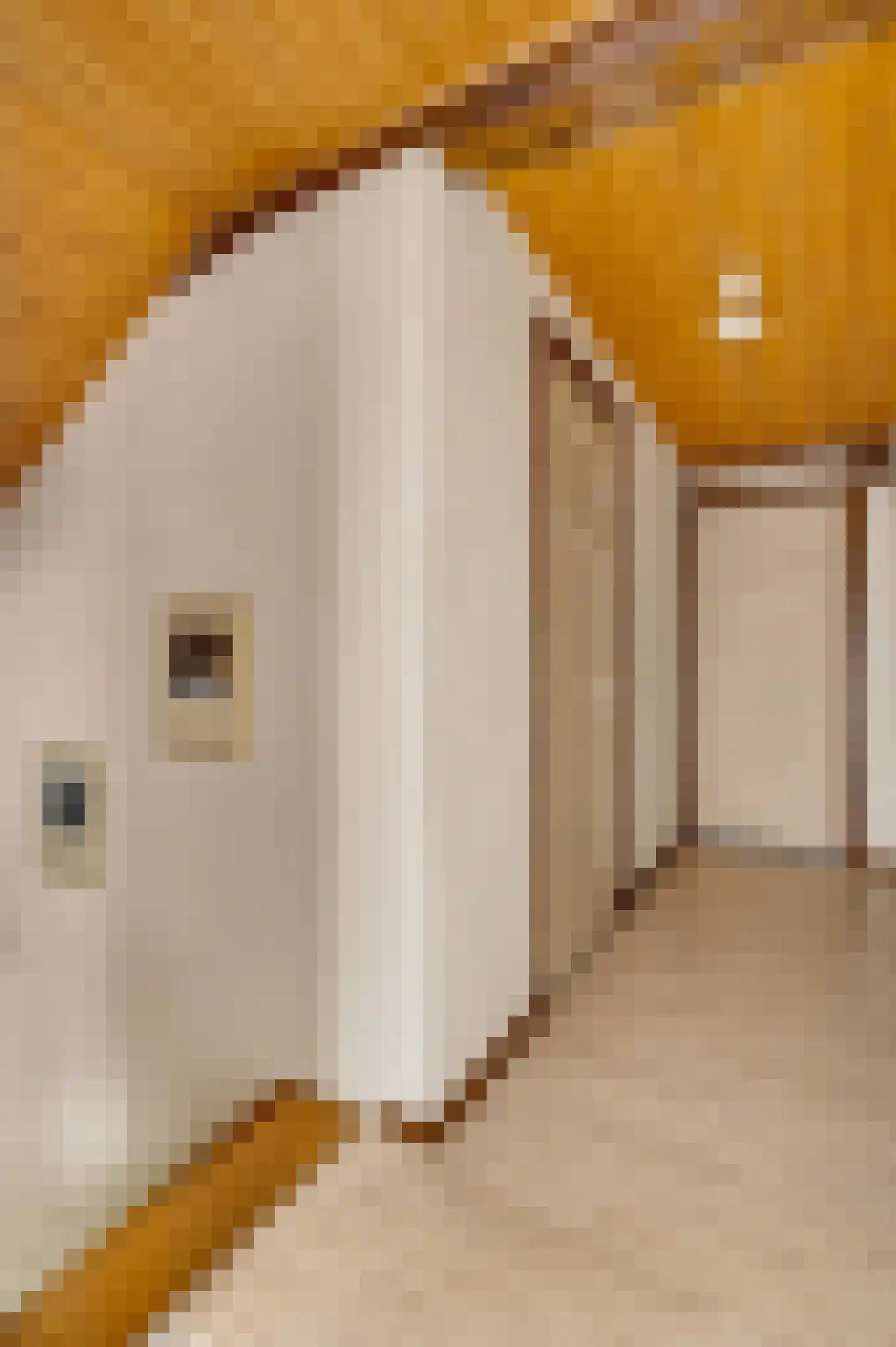 Kapelstraat 6 Stramproy thumbnail 22