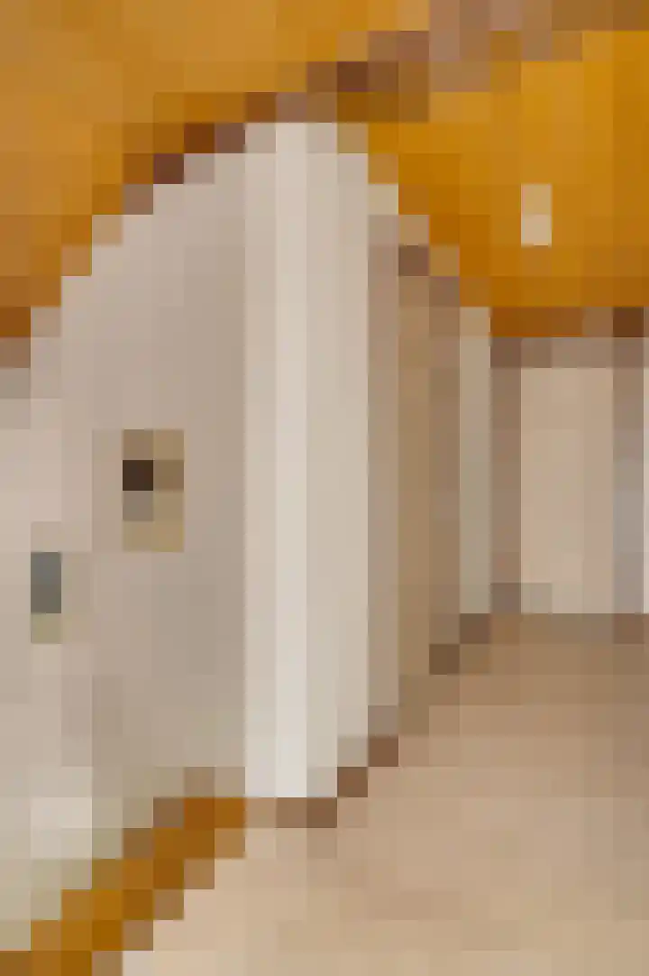 Kapelstraat 6 Stramproy thumbnail 22
