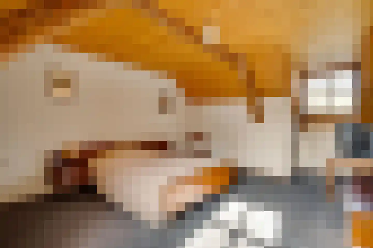 Kapelstraat 6 Stramproy thumbnail 24