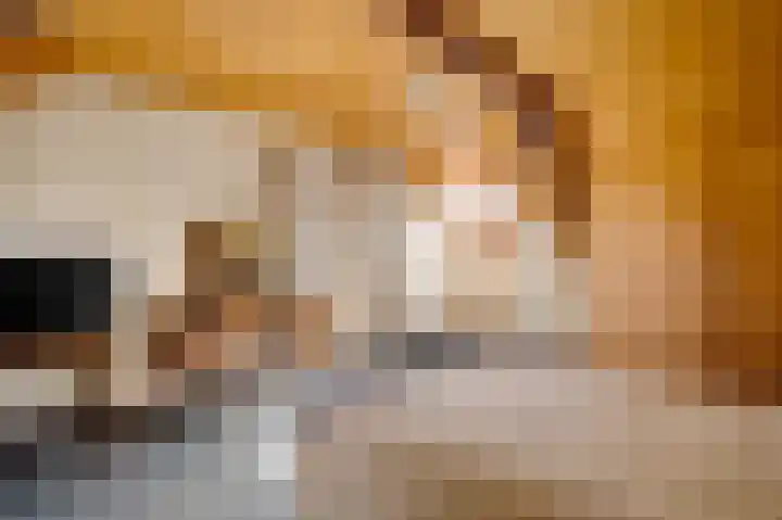 Kapelstraat 6 Stramproy thumbnail 25