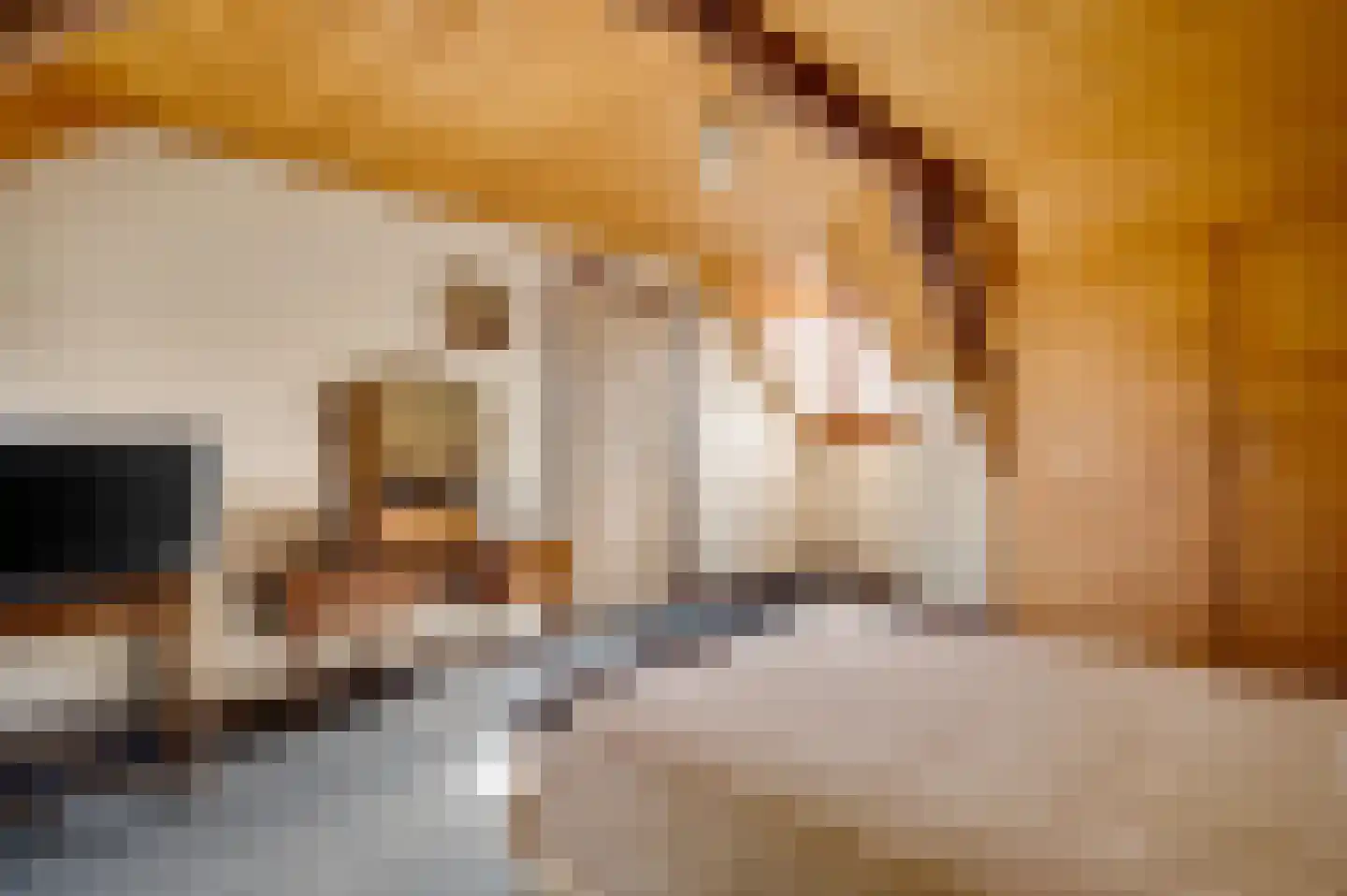 Kapelstraat 6 Stramproy thumbnail 25