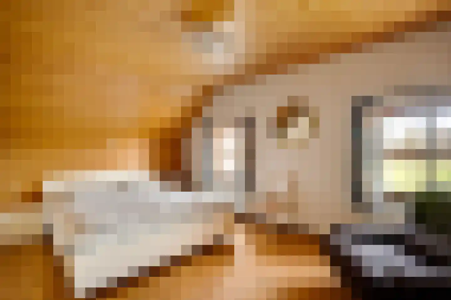 Kapelstraat 6 Stramproy thumbnail 26