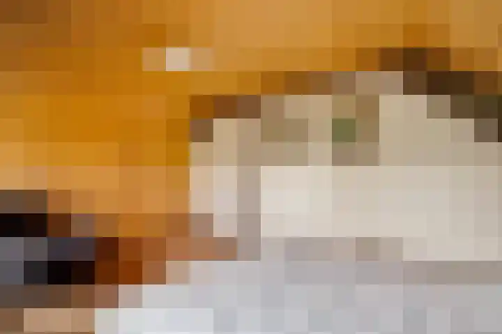Kapelstraat 6 Stramproy thumbnail 27
