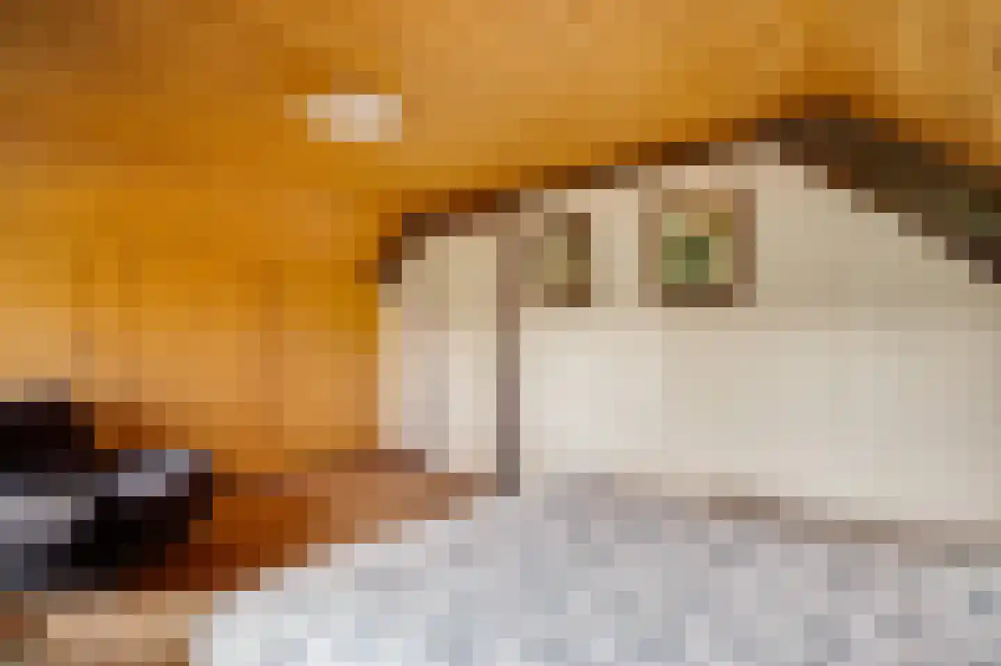 Kapelstraat 6 Stramproy thumbnail 27