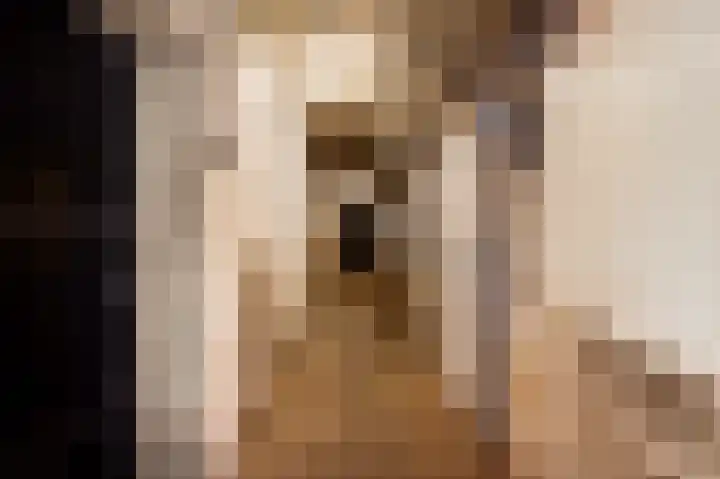 Kapelstraat 6 Stramproy thumbnail 30