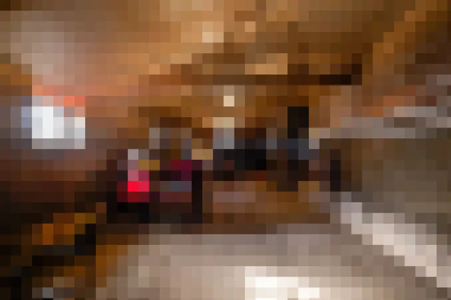 Kapelstraat 6 Stramproy thumbnail 34