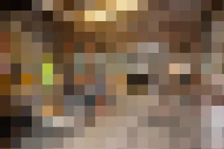 Kapelstraat 6 Stramproy thumbnail 39