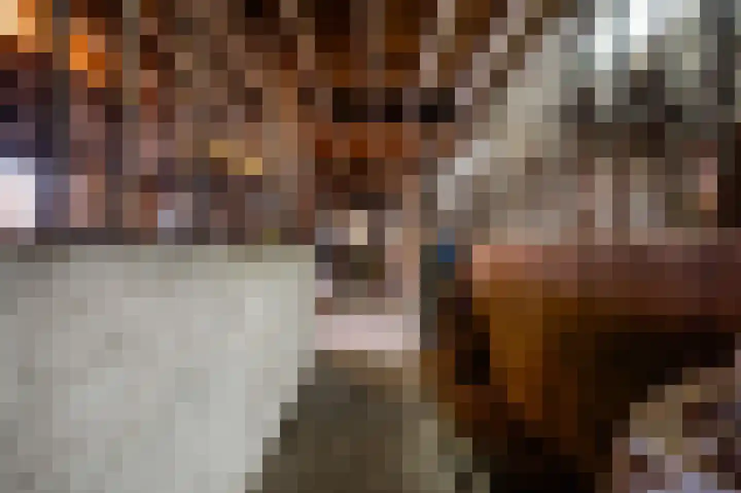 Kapelstraat 6 Stramproy thumbnail 40