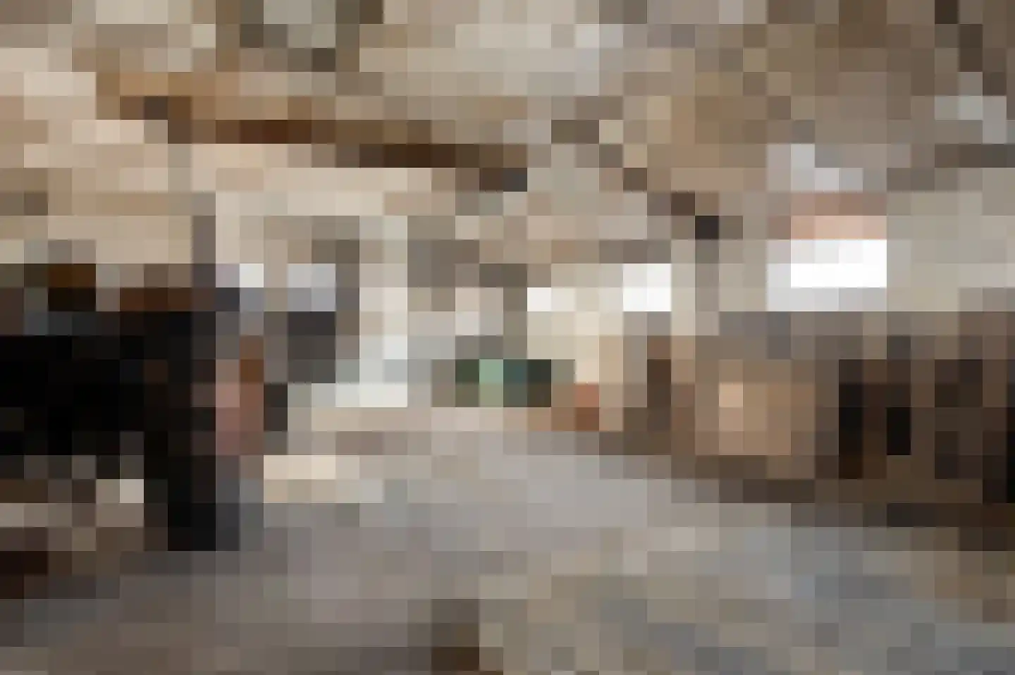Kapelstraat 6 Stramproy thumbnail 41