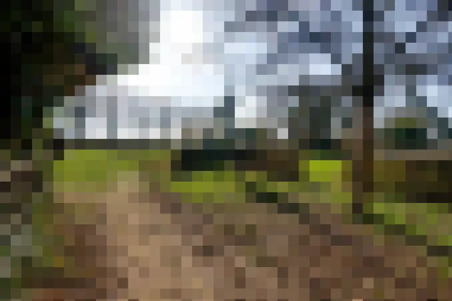 Kapelstraat 6 Stramproy thumbnail 42