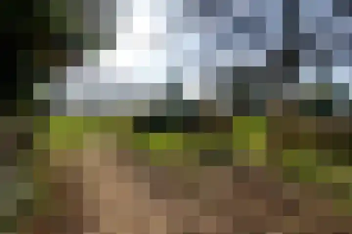 Kapelstraat 6 Stramproy thumbnail 42
