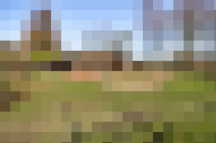 Kapelstraat 6 Stramproy thumbnail 44