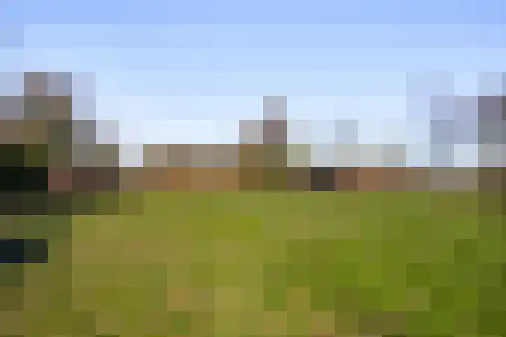 Kapelstraat 6 Stramproy thumbnail 46