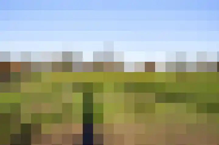 Kapelstraat 6 Stramproy thumbnail 51