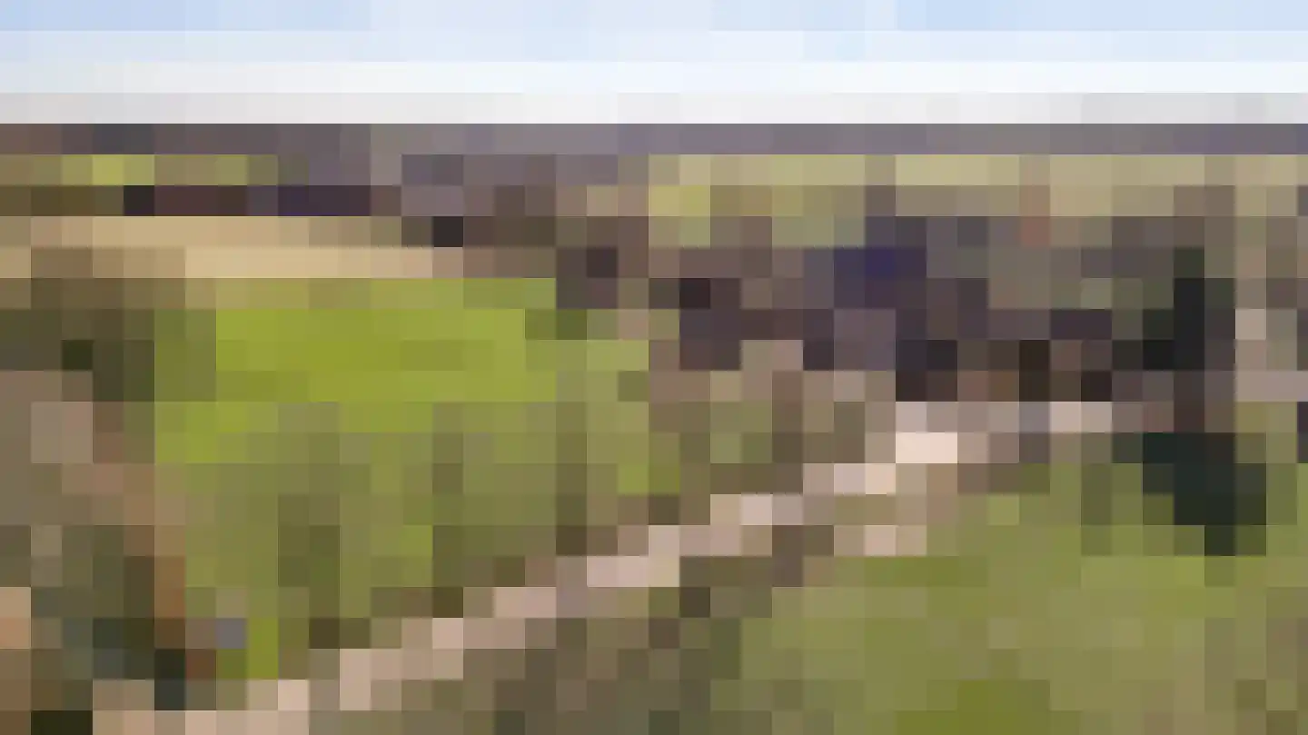 Kapelstraat 6 Stramproy thumbnail 52