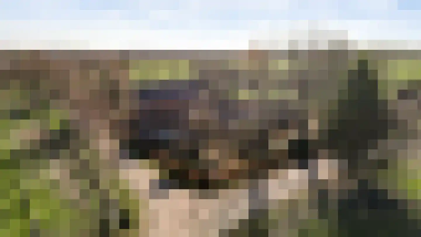Kapelstraat 6 Stramproy thumbnail 54