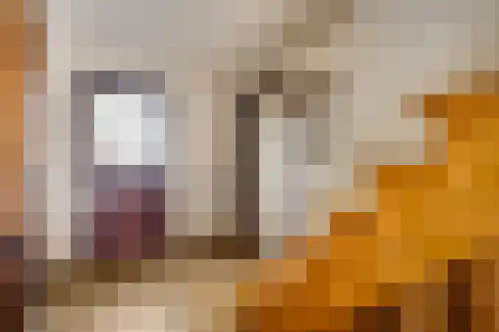 Kapelstraat 6 Stramproy thumbnail 6