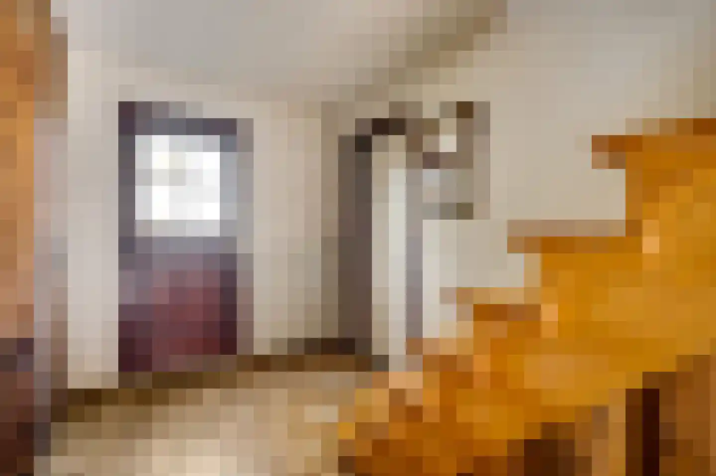 Kapelstraat 6 Stramproy thumbnail 6