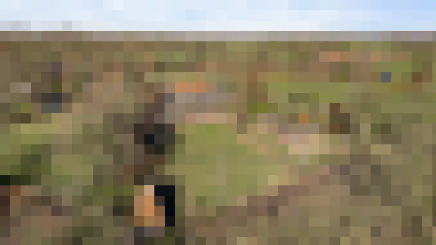 Kapelstraat 6 Stramproy thumbnail 60