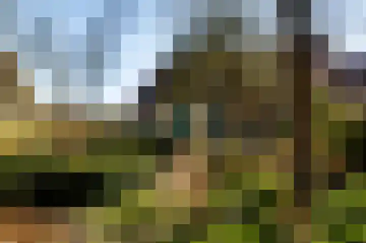 Kapelstraat 6 Stramproy thumbnail 67