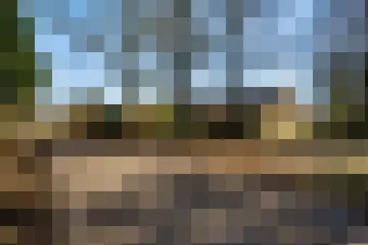 Kapelstraat 6 Stramproy thumbnail 68