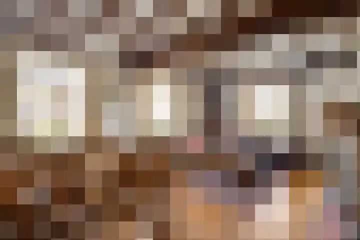 Kapelstraat 6 Stramproy thumbnail 8