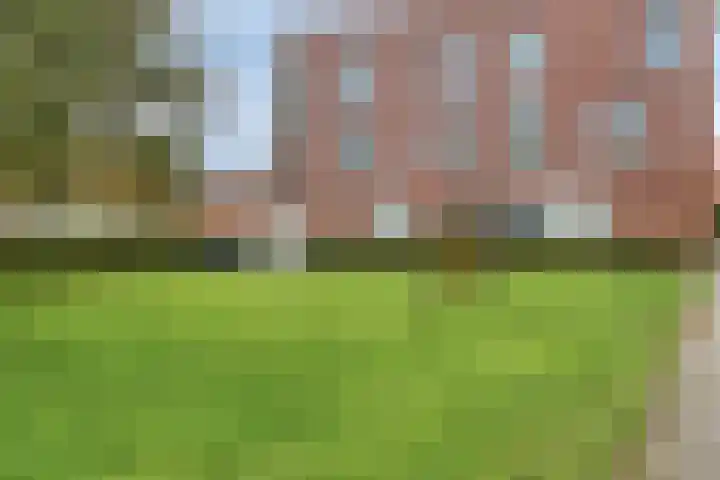 Kapelstraat 6 Volendam thumbnail 29