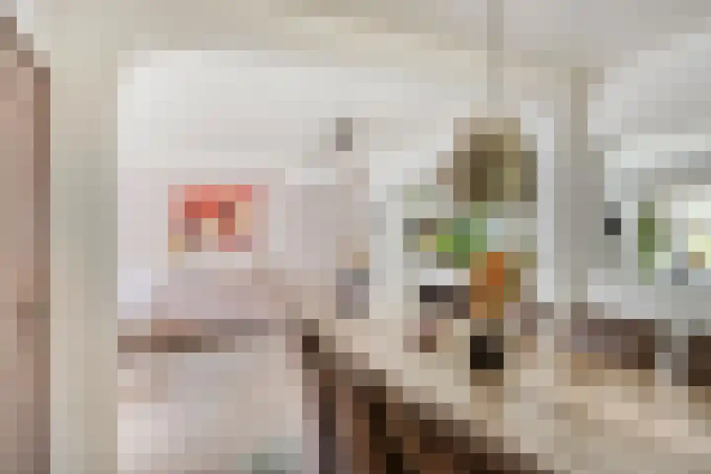 Kapelstraat 64 Beek en Donk thumbnail 11