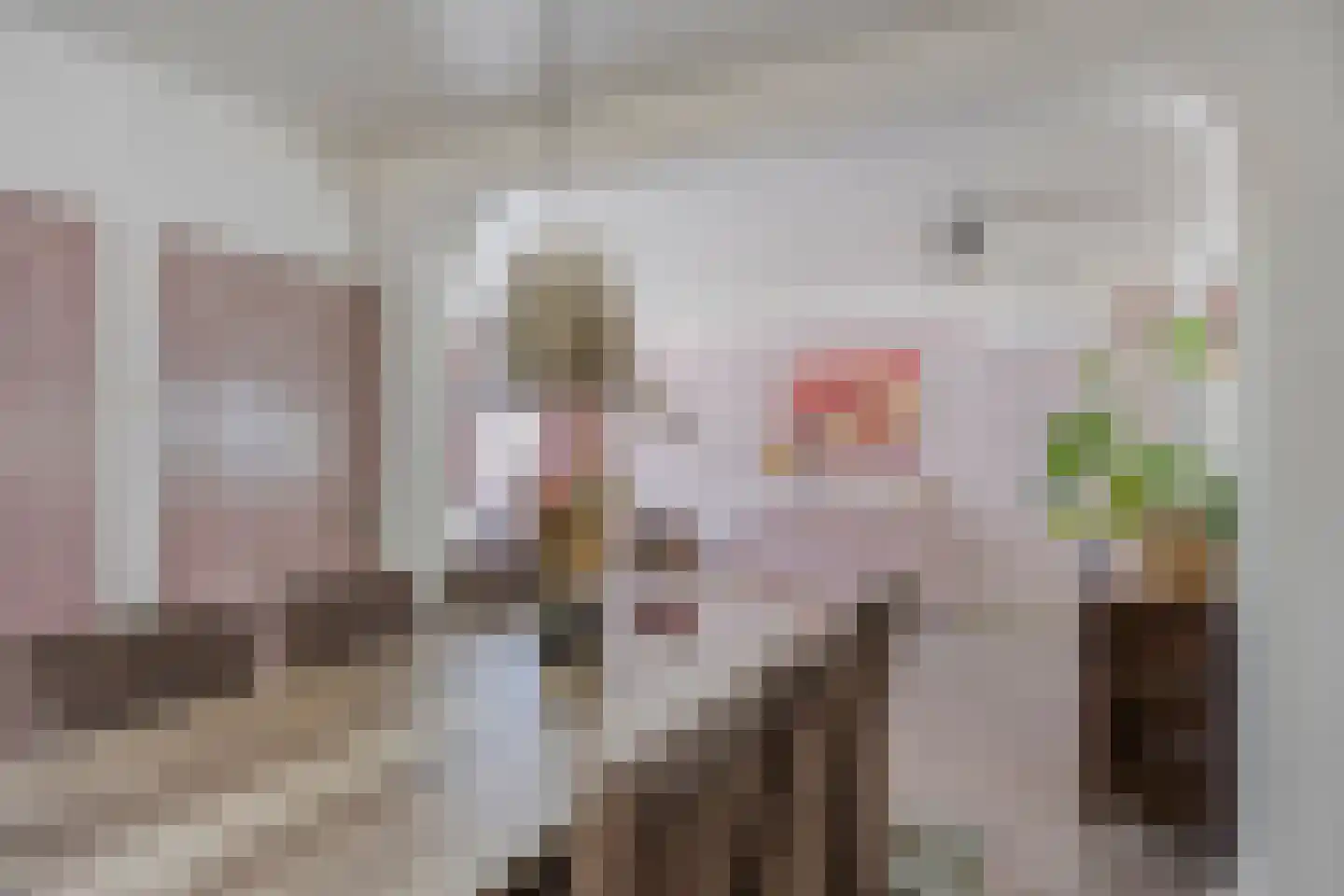 Kapelstraat 64 Beek en Donk thumbnail 12