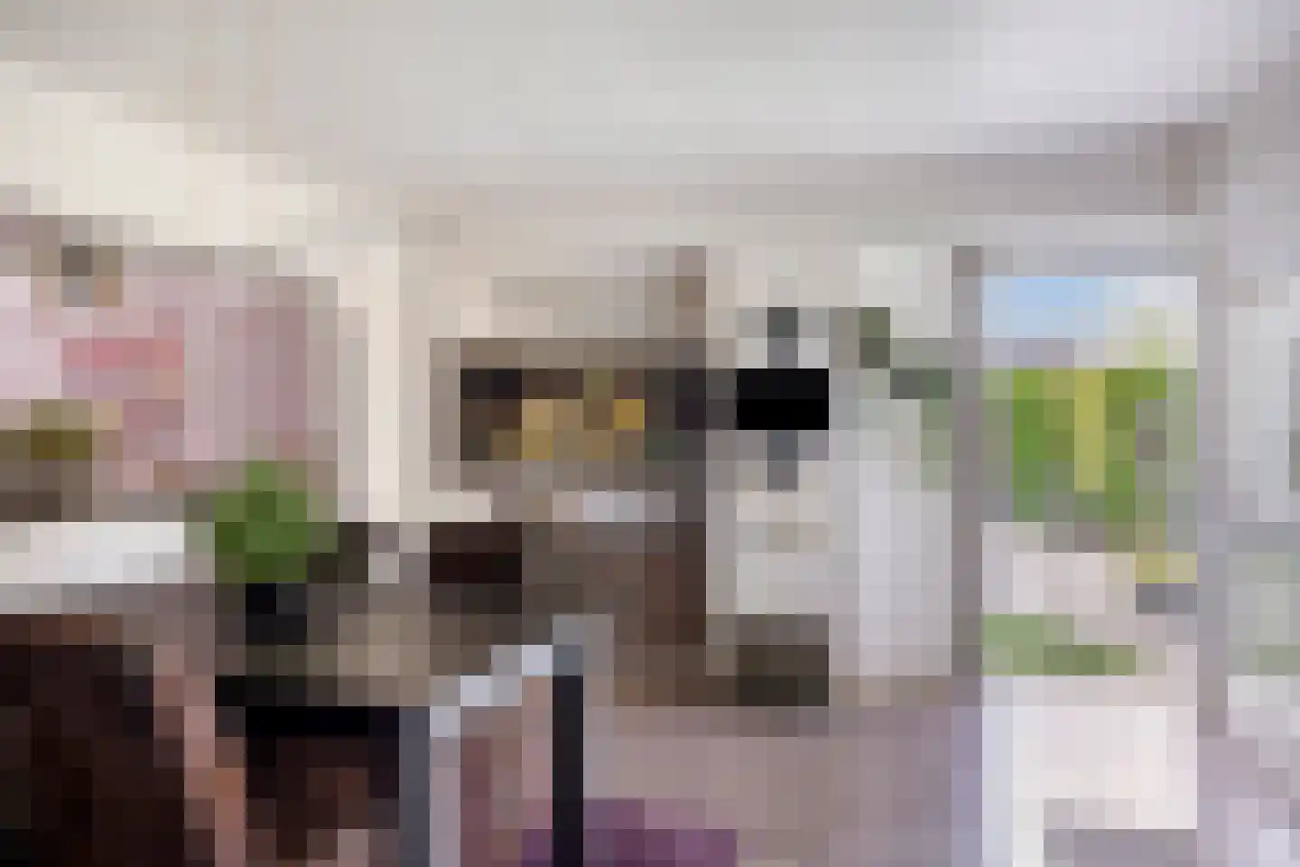 Kapelstraat 64 Beek en Donk thumbnail 15