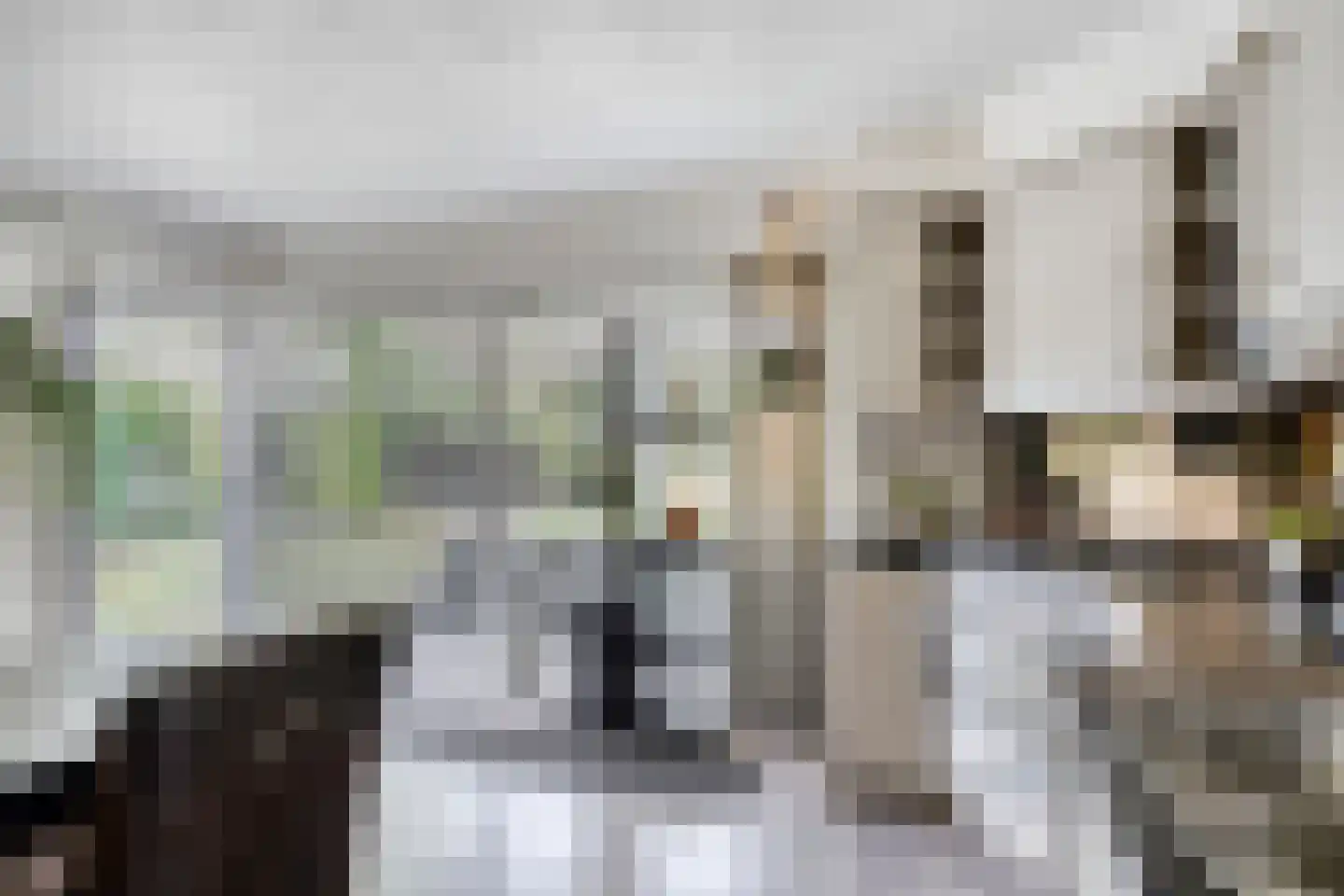 Kapelstraat 64 Beek en Donk thumbnail 16
