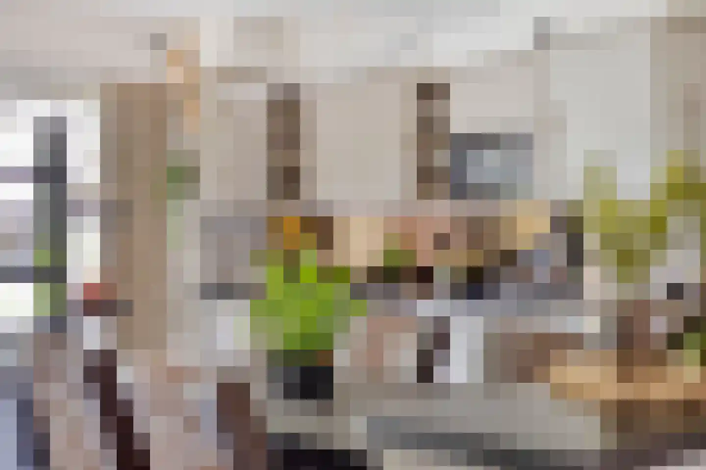 Kapelstraat 64 Beek en Donk thumbnail 18
