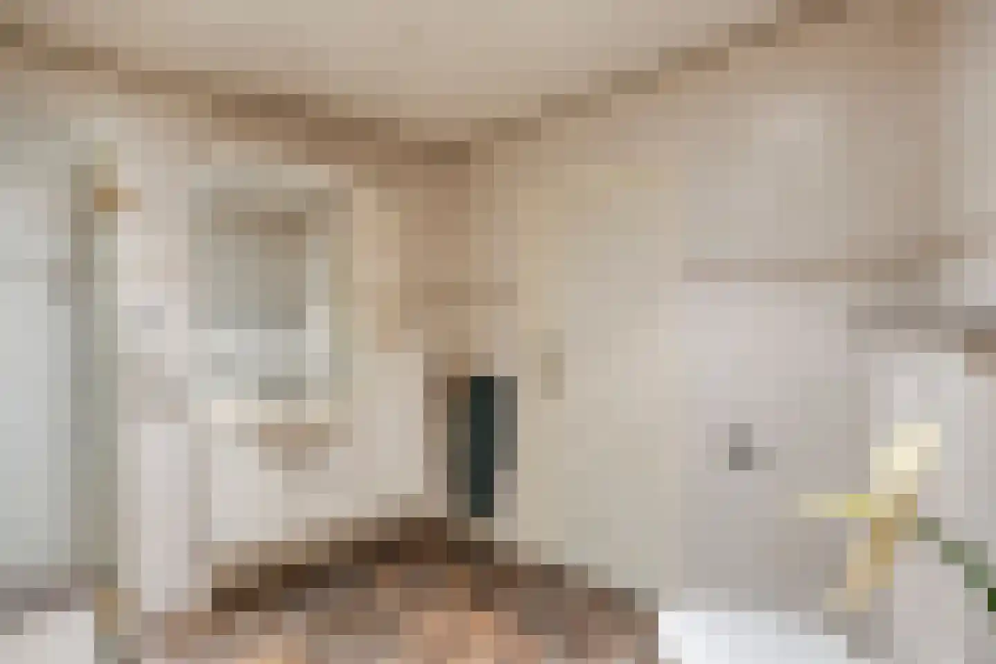 Kapelstraat 64 Beek en Donk thumbnail 25