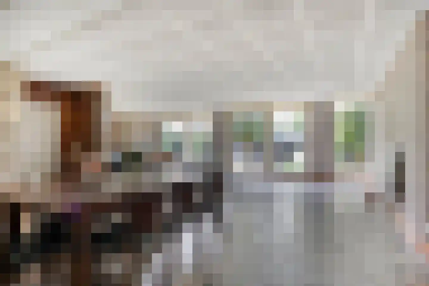 Kapelstraat 64 Beek en Donk thumbnail 33