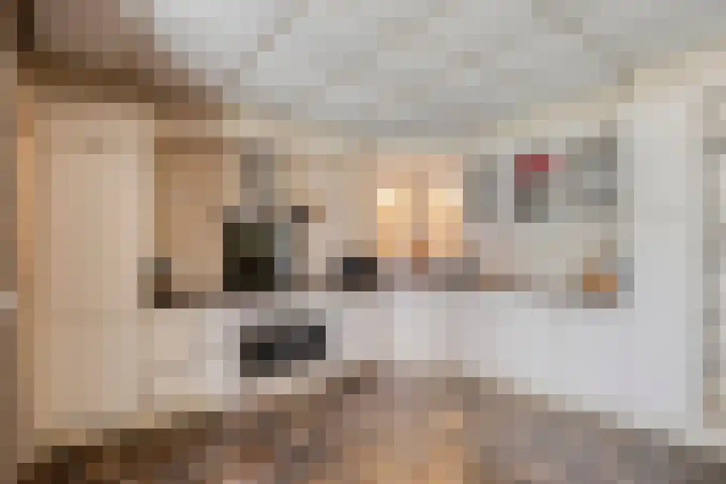 Kapelstraat 64 Beek en Donk thumbnail 36